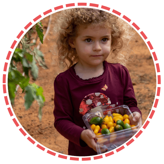 חוות הפסיפלורה
